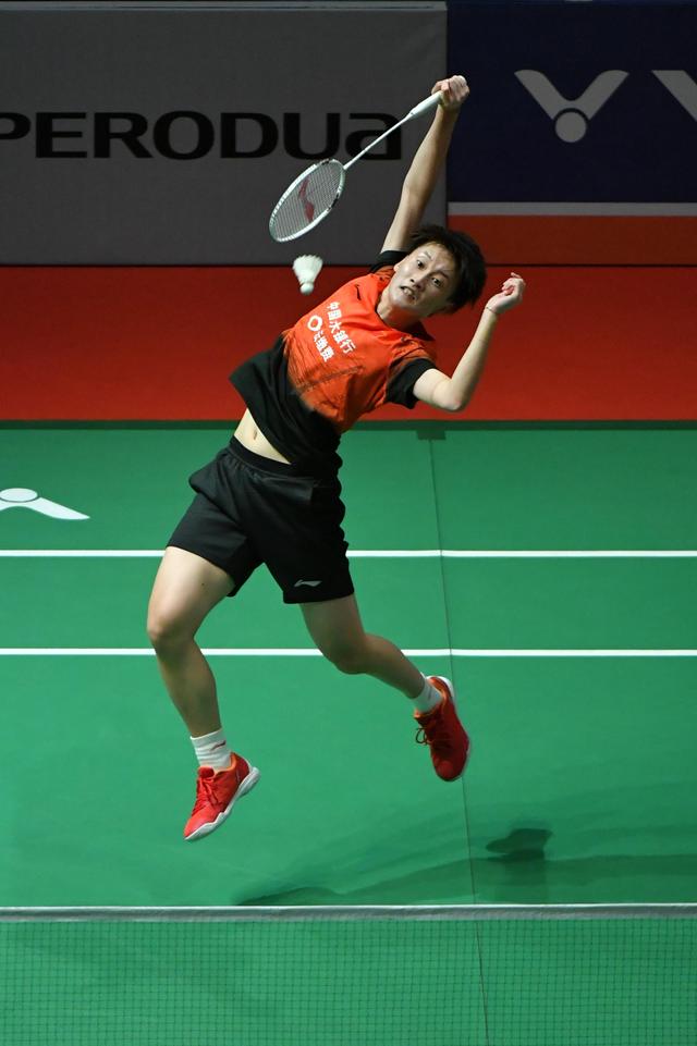 提供了不可 提供了不可